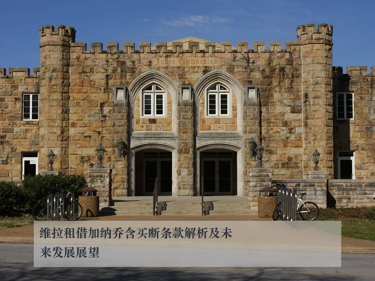维拉租借加纳乔含买断条款解析及未来发展展望